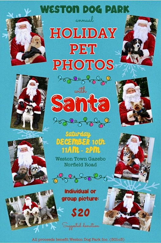 Dog Park Santa Dec 10